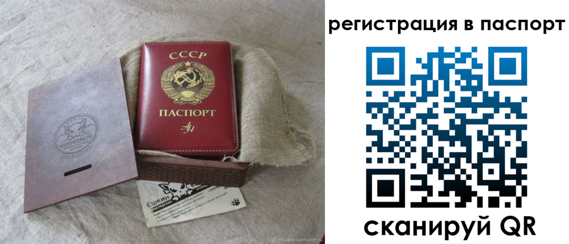 где прописаться в Волгореченске